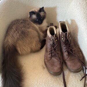 Vans Boots